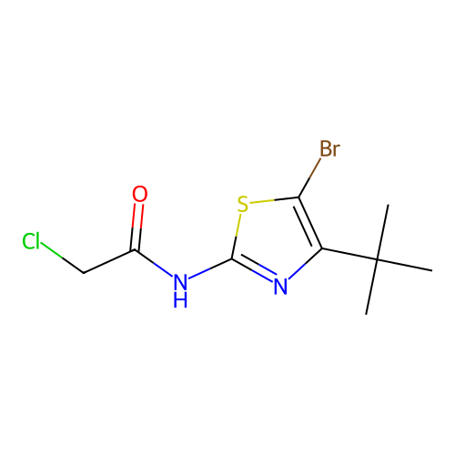 N-(5-bromo-4-tert-butyl-1,3-thiazol-2-yl)-2-chloroacetamide structure
