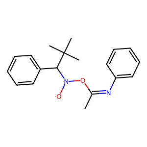 Nitroxide, 1,1-dimethylethyl phenyl(1-(phenylimino)ethoxy)methyl structure