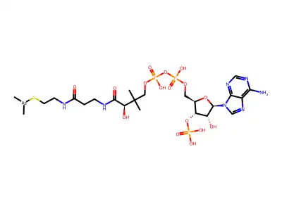 S-dimethylarsino-coenzyme A structure