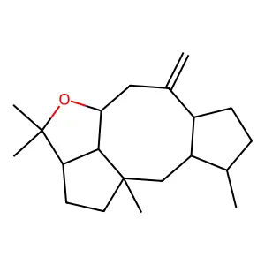 Dictymal structure