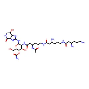 N-beta-acetylstreptothricin D structure