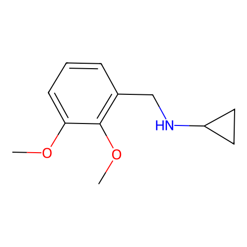 N-[(2,3-dimethoxyphenyl)methyl]cyclopropanamine structure