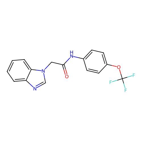 2-(benzimidazol-1-yl)-N-[4-(trifluoromethoxy)phenyl]acetamide structure