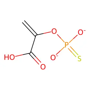 Thiophosphoenolpyruvate structure