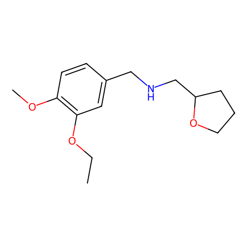 N-[(3-ethoxy-4-methoxyphenyl)methyl]-1-(oxolan-2-yl)methanamine structure