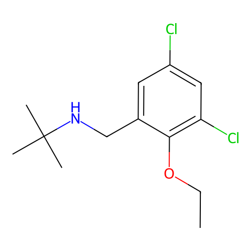 N-(3,5-dichloro-2-ethoxybenzyl)-2-methylpropan-2-amine structure