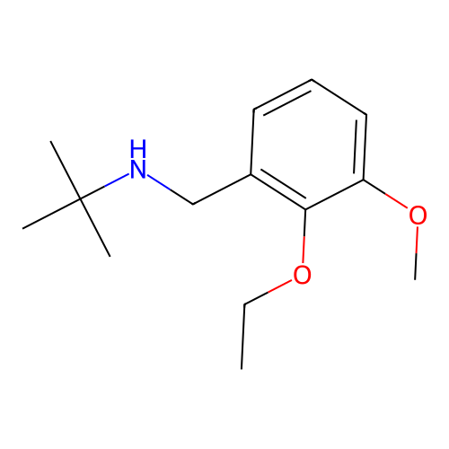 N-(2-ethoxy-3-methoxybenzyl)-2-methylpropan-2-amine structure