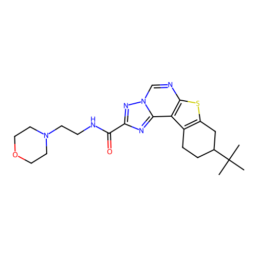 9-(tert-butyl)-N-(2-morpholinoethyl)-8,9,10,11-tetrahydrobenzo[4,5]thieno[3,2-e][1,2,4]triazolo[1,5-c]pyrimidine-2-carboxamide structure