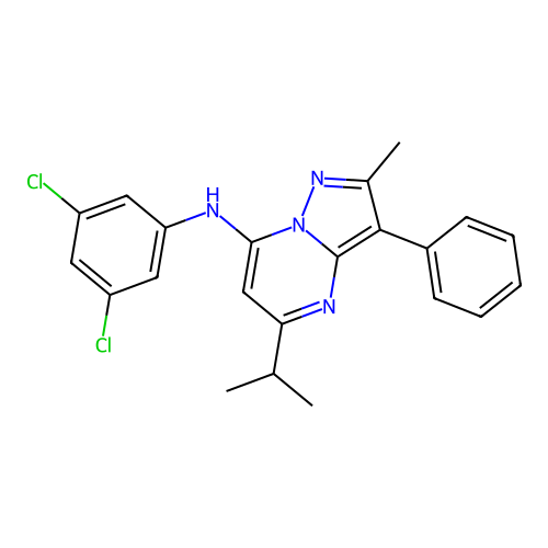 N-(3,5-dichlorophenyl)-2-methyl-3-phenyl-5-(propan-2-yl)pyrazolo[1,5-a]pyrimidin-7-amine structure