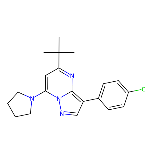 5-(Tert-butyl)-3-(4-chlorophenyl)-7-(pyrrolidin-1-yl)pyrazolo[1,5-a]pyrimidine structure
