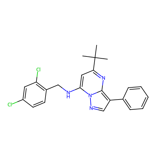 5-tert-butyl-N-[(2,4-dichlorophenyl)methyl]-3-phenylpyrazolo[1,5-a]pyrimidin-7-amine structure
