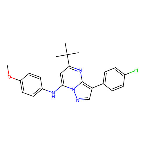 5-tert-butyl-3-(4-chlorophenyl)-N-(4-methoxyphenyl)pyrazolo[1,5-a]pyrimidin-7-amine structure