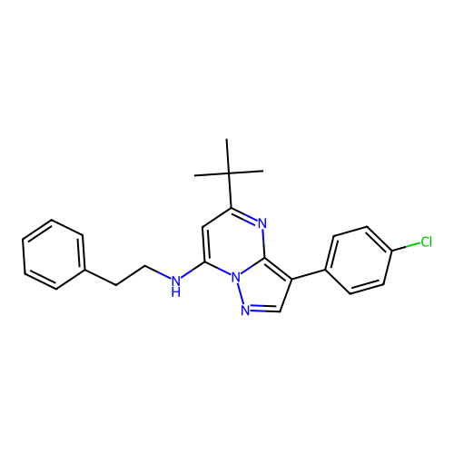 5-tert-butyl-3-(4-chlorophenyl)-N-(2-phenylethyl)pyrazolo[1,5-a]pyrimidin-7-amine structure