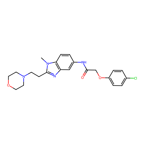 2-(4-chlorophenoxy)-N-(1-methyl-2-(2-morpholinoethyl)-1H-benzo[d]imidazol-5-yl)acetamide structure
