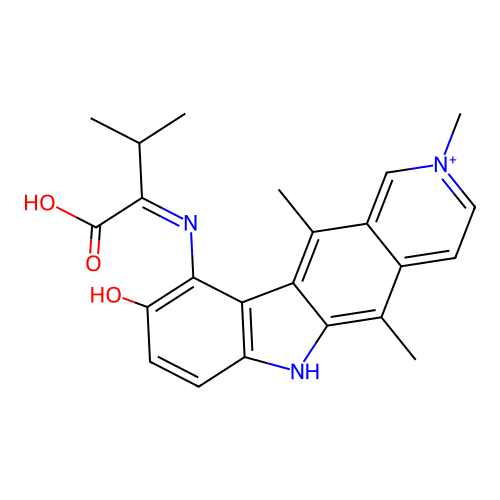 Val-NMHE structure
