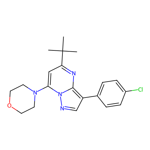 4-[5-Tert-butyl-3-(4-chlorophenyl)pyrazolo[1,5-a]pyrimidin-7-yl]morpholine structure
