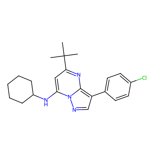 5-tert-butyl-3-(4-chlorophenyl)-N-cyclohexylpyrazolo[1,5-a]pyrimidin-7-amine structure