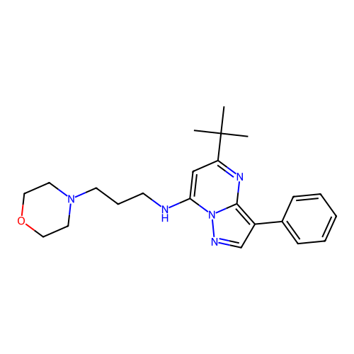 5-(tert-butyl)-N-(3-morpholinopropyl)-3-phenylpyrazolo[1,5-a]pyrimidin-7-amine structure