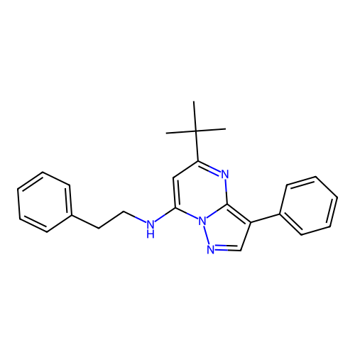 5-tert-butyl-3-phenyl-N-(2-phenylethyl)pyrazolo[1,5-a]pyrimidin-7-amine structure