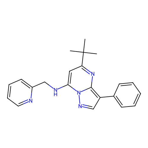 5-(tert-butyl)-3-phenyl-N-(pyridin-2-ylmethyl)pyrazolo[1,5-a]pyrimidin-7-amine structure