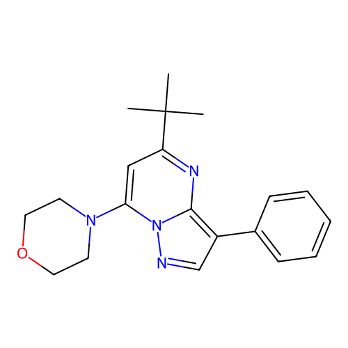 4-(5-(Tert-butyl)-3-phenylpyrazolo[1,5-a]pyrimidin-7-yl)morpholine structure