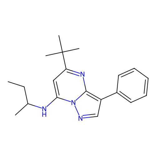N-(butan-2-yl)-5-tert-butyl-3-phenylpyrazolo[1,5-a]pyrimidin-7-amine structure