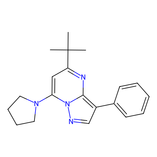 5-(Tert-butyl)-3-phenyl-7-(pyrrolidin-1-yl)pyrazolo[1,5-a]pyrimidine structure