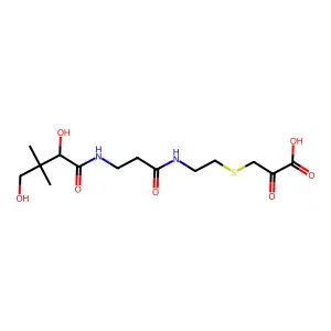 Pantetheine-3-pyruvate structure
