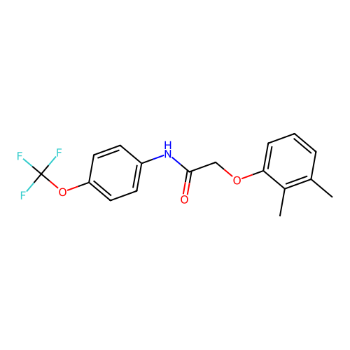 2-(2,3-dimethylphenoxy)-N-[4-(trifluoromethoxy)phenyl]acetamide structure