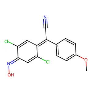 ZK 91296 structure