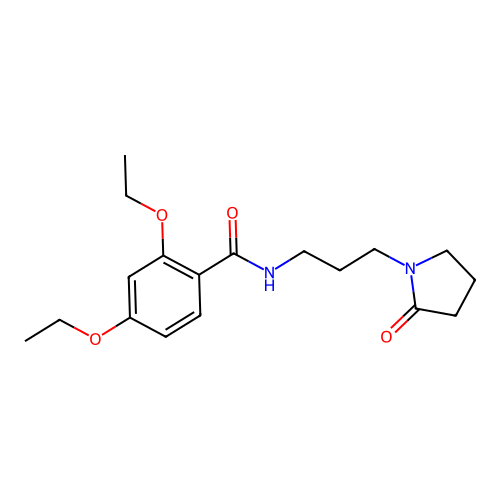 2,4-diethoxy-N-[3-(2-oxopyrrolidin-1-yl)propyl]benzamide structure