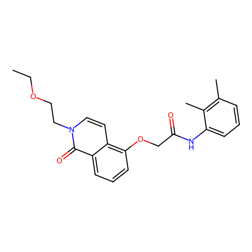 N-(2,3-dimethylphenyl)-2-[2-(2-ethoxyethyl)-1-oxoisoquinolin-5-yl]oxyacetamide structure