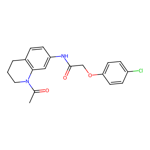 N-(1-acetyl-1,2,3,4-tetrahydroquinolin-7-yl)-2-(4-chlorophenoxy)acetamide structure