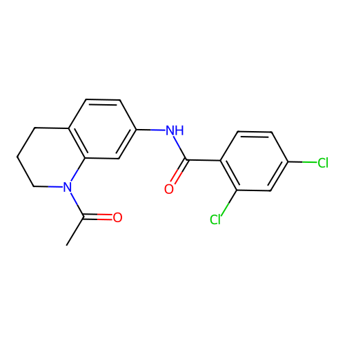 N-(1-acetyl-1,2,3,4-tetrahydroquinolin-7-yl)-2,4-dichlorobenzamide structure