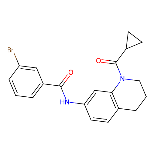 3-bromo-N-[1-(cyclopropanecarbonyl)-3,4-dihydro-2H-quinolin-7-yl]benzamide structure