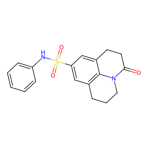 3-oxo-N-phenyl-1,2,3,5,6,7-hexahydropyrido[3,2,1-ij]quinoline-9-sulfonamide structure
