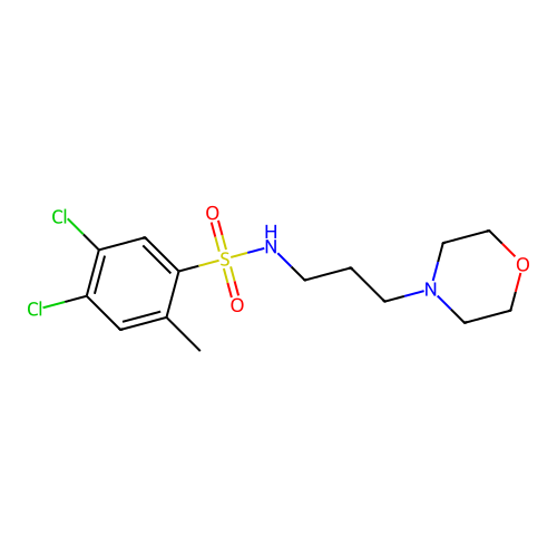 4,5-dichloro-2-methyl-N-(3-morpholinopropyl)benzenesulfonamide structure