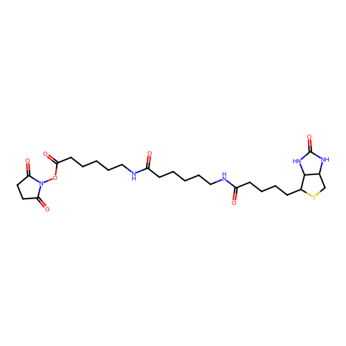 Biotin-XX-NHS structure