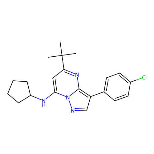 5-tert-butyl-3-(4-chlorophenyl)-N-cyclopentylpyrazolo[1,5-a]pyrimidin-7-amine structure