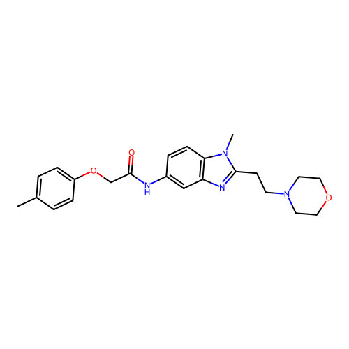 N-(1-methyl-2-(2-morpholinoethyl)-1H-benzo[d]imidazol-5-yl)-2-(p-tolyloxy)acetamide structure