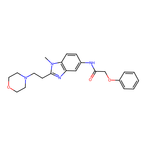 N-{1-methyl-2-[2-(morpholin-4-yl)ethyl]-1H-benzimidazol-5-yl}-2-phenoxyacetamide structure