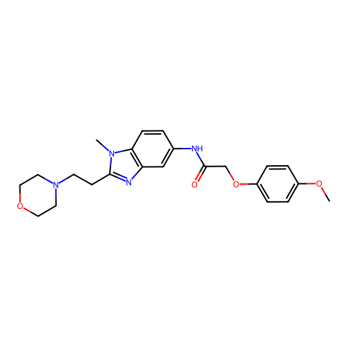 2-(4-methoxyphenoxy)-N-[1-methyl-2-(2-morpholin-4-ylethyl)benzimidazol-5-yl]acetamide structure