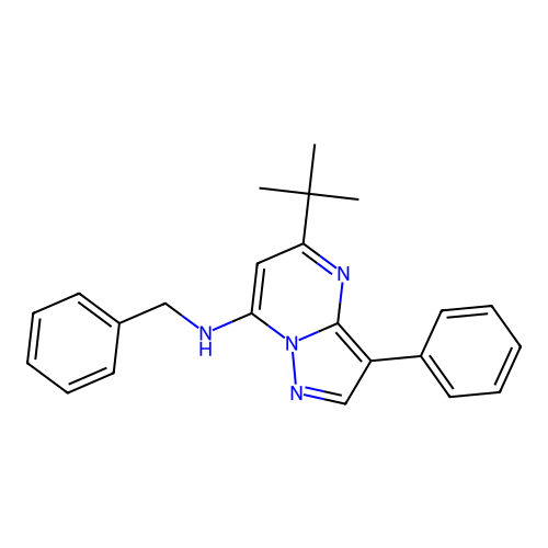 N-benzyl-5-tert-butyl-3-phenylpyrazolo[1,5-a]pyrimidin-7-amine structure