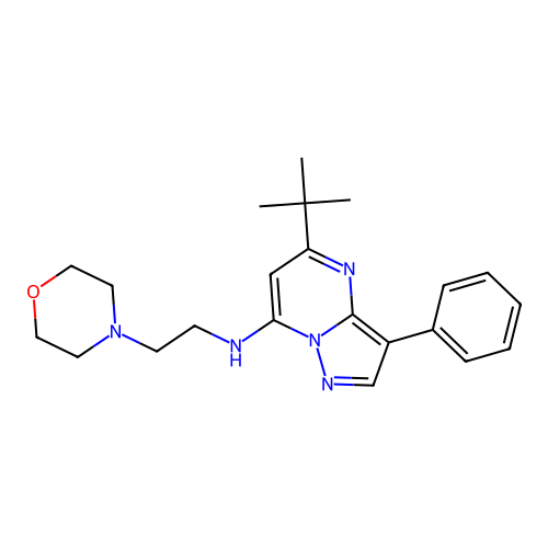 5-(tert-butyl)-N-(2-morpholinoethyl)-3-phenylpyrazolo[1,5-a]pyrimidin-7-amine structure