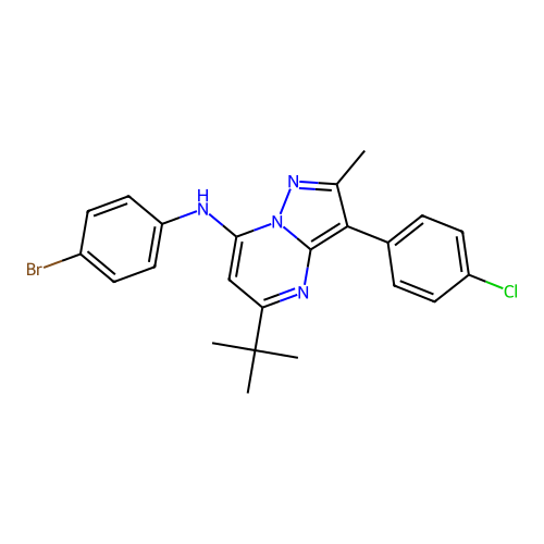 N-(4-bromophenyl)-5-tert-butyl-3-(4-chlorophenyl)-2-methylpyrazolo[1,5-a]pyrimidin-7-amine structure