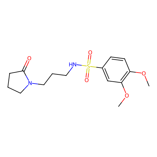 3,4-dimethoxy-N-[3-(2-oxopyrrolidin-1-yl)propyl]benzenesulfonamide structure