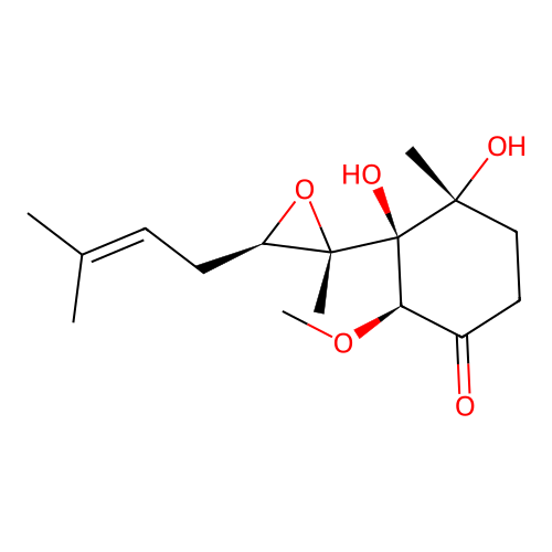 卵清蛋白 structure