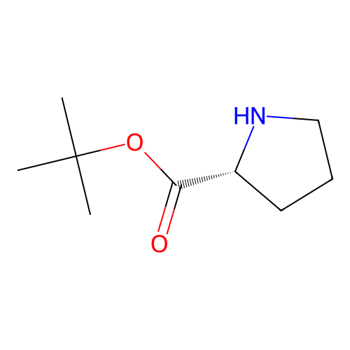 H-D-Pro-otbu structure