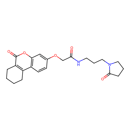 2-((6-oxo-7,8,9,10-tetrahydro-6H-benzo[c]chromen-3-yl)oxy)-N-(3-(2-oxopyrrolidin-1-yl)propyl)acetamide structure