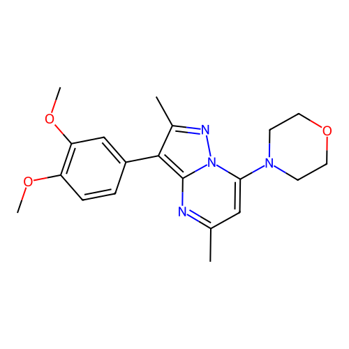4-(3-(3,4-Dimethoxyphenyl)-2,5-dimethylpyrazolo[1,5-a]pyrimidin-7-yl)morpholine structure